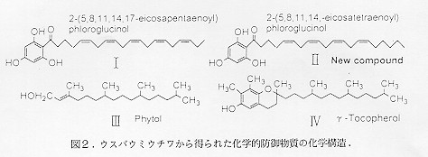 図２