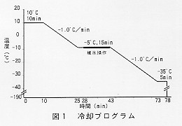 図１