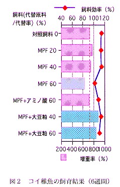 図２