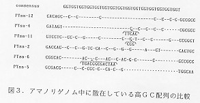 図３