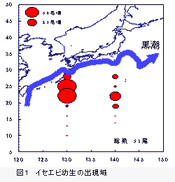 図１