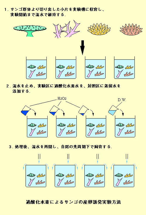 図１