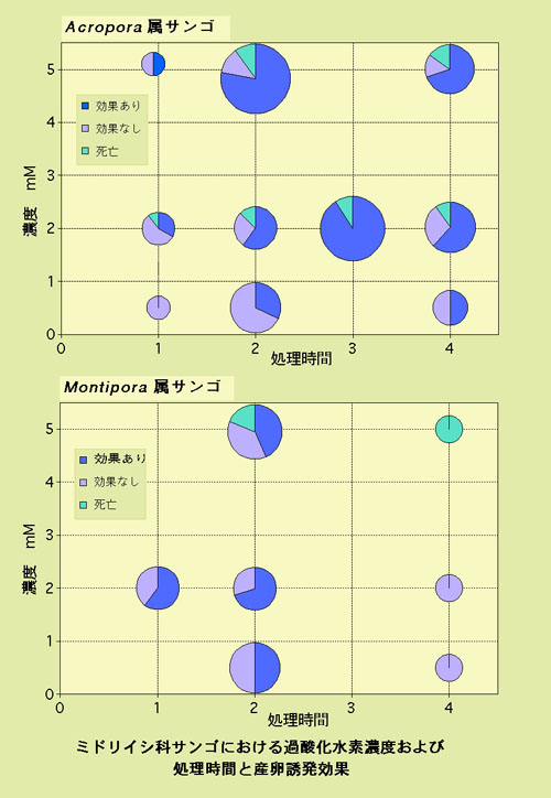 図２