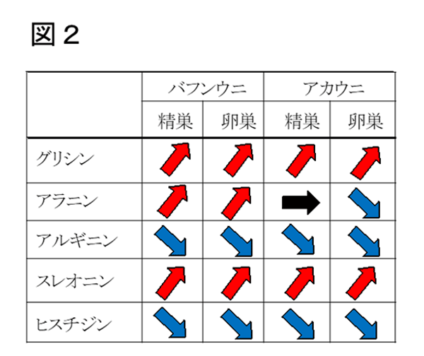 図2