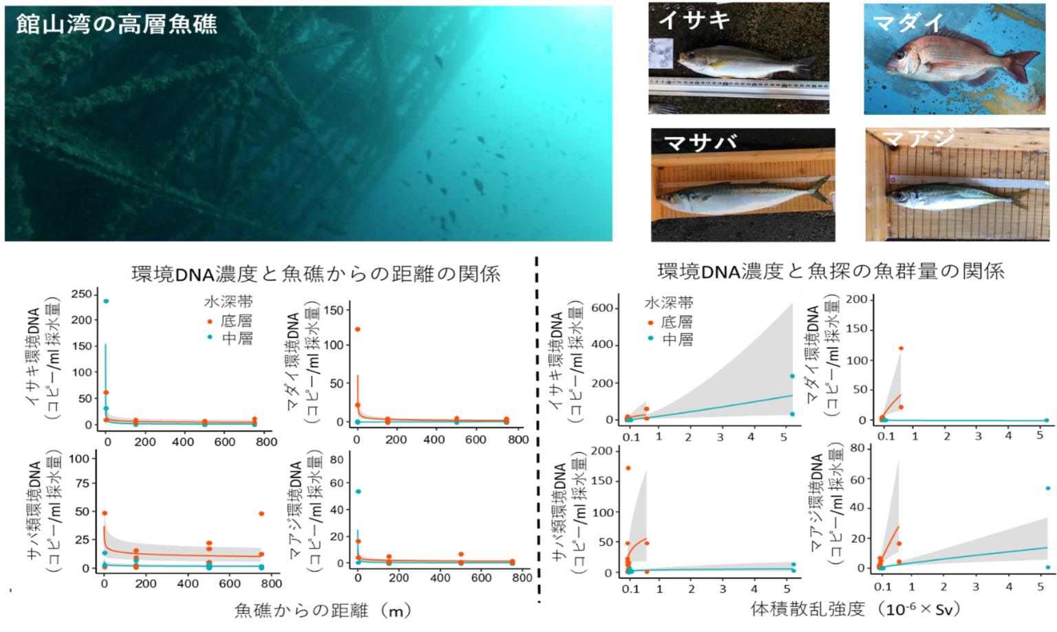 高層魚礁（左上）と優占魚種（右上）の写真、優占魚種の環境DNA濃度と魚礁からの距離との関係（左下）と魚群量の目安となる体積散乱強度との関係(右下)