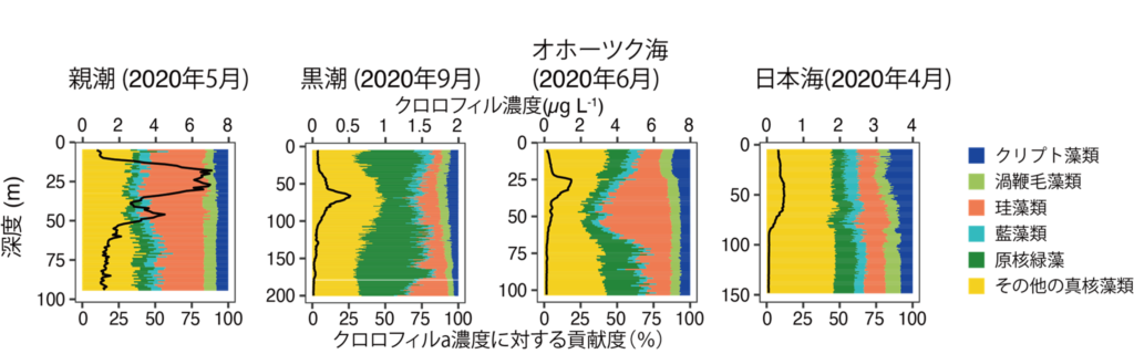 多波長励起蛍光光度計による観測で得られた1ｍ毎の植物プランクトン群集組成とクロロフィルa濃度（実線）の例。 上記の論文の図を改変。