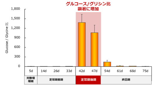 （下図）完全培地下における細胞内G/G比は終息に向かう時期（定常期後期）でのみ増加が見られました。