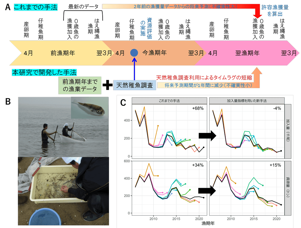 概念図、トラフグ天然稚魚調査の様子、予測性能の比較