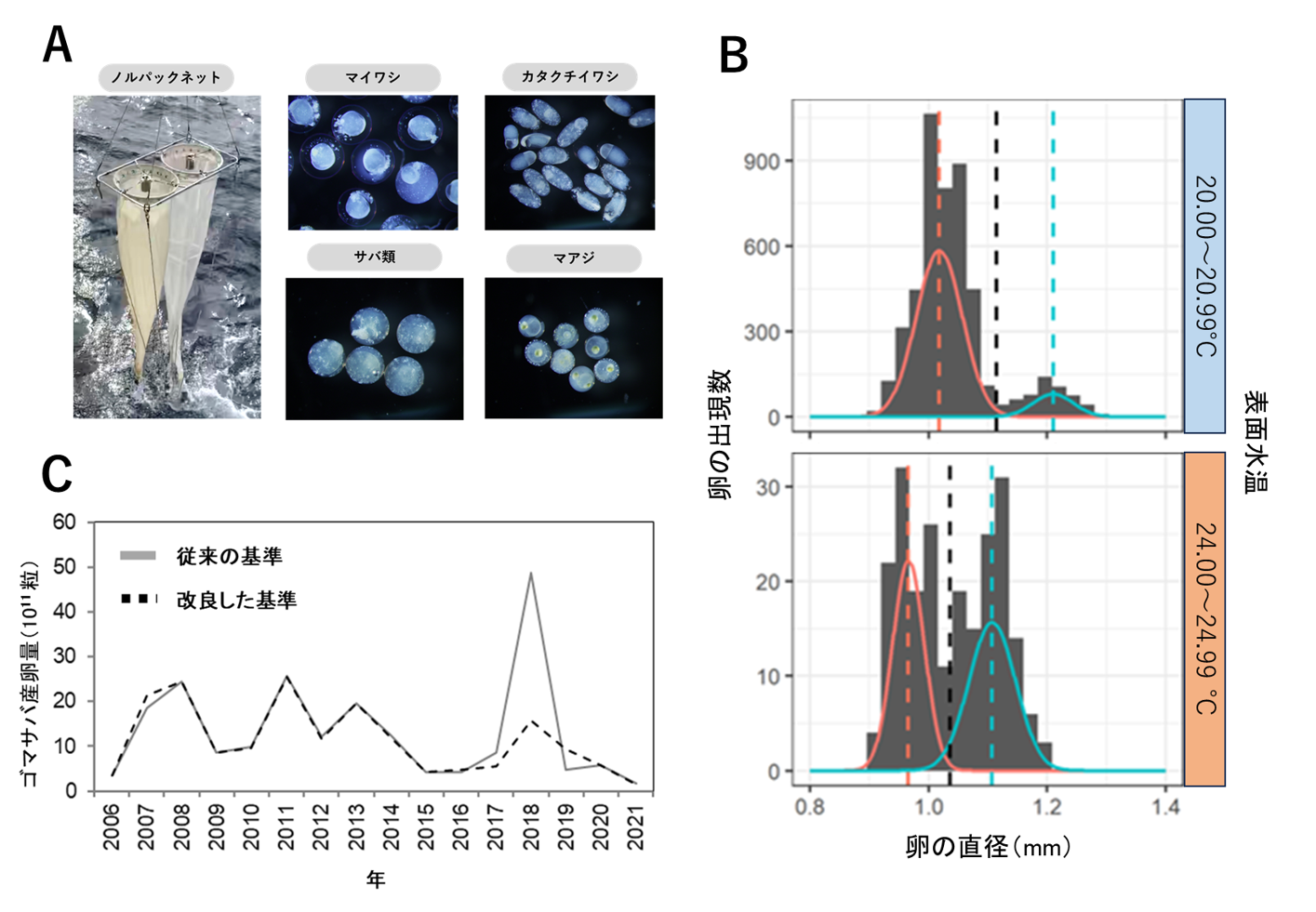 図A: 産卵調査で使用する採集網と採集される卵の一例。 図B: 海水温別のサバ類卵の出現頻度分布。赤色はマサバ、青色はゴマサバ。曲線が出現頻度分布、破線は平均値。黒色の破線が2種を分ける境界値。 図C: 従来の基準と改良した基準によるゴマサバ産卵量の推定結果。