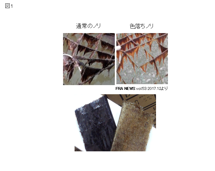 図１の画像
