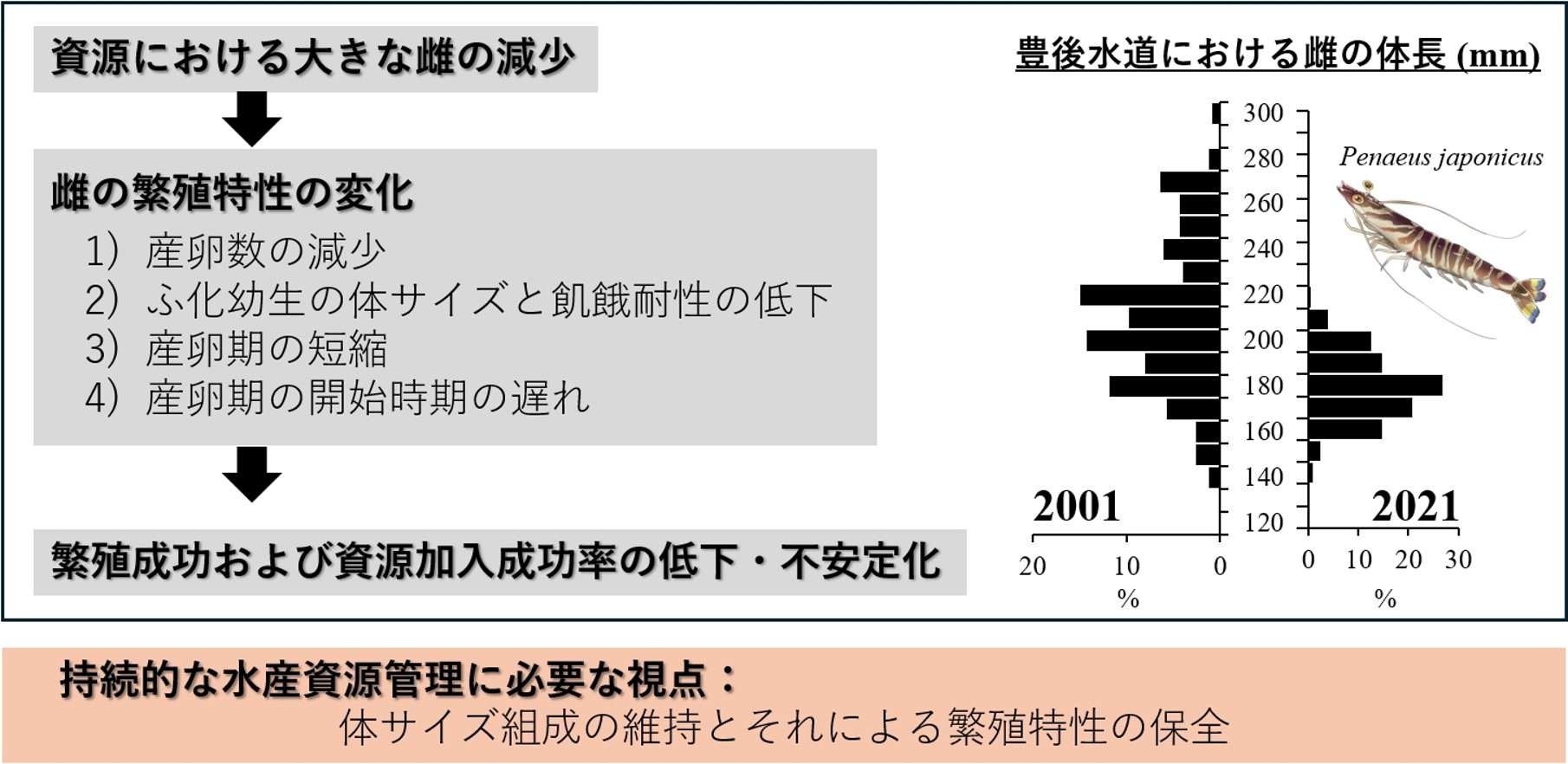 図