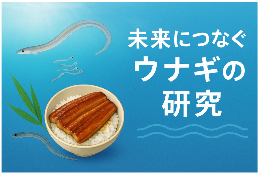 ウナギ人工種苗生産に関する情報