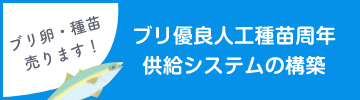 ブリ優良人工種苗周年供給システムの構築