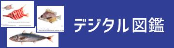 デジタル図鑑