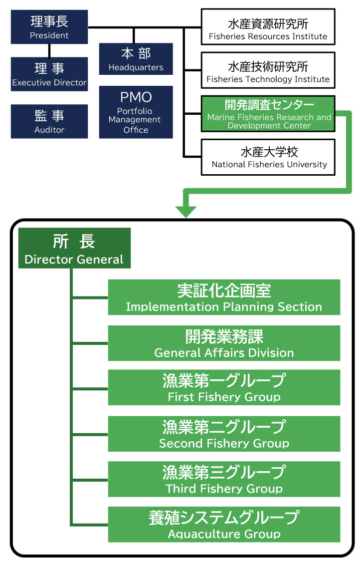 Organizational Chart of the Marine Fisheries Research and Development Center (JAMARC)