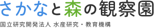 さかなと森の観察園