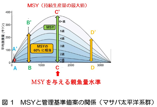 MSYと管理基準値案の関係（マサバ太平洋系群）の図