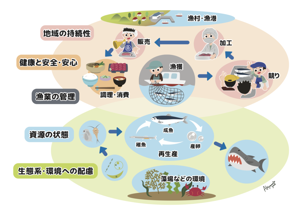 人間社会と生態系の関連のイメージ