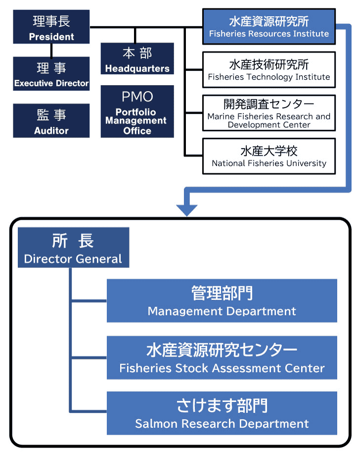 水産資源研究所組織図