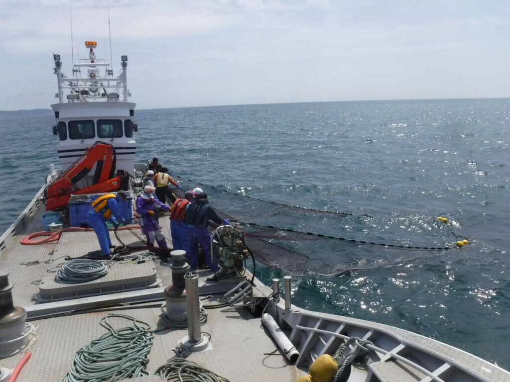 沿岸域での幼稚魚の生息環境調査