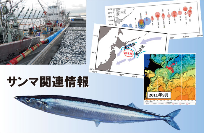 サンマ関連情報
