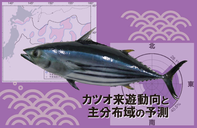 カツオ来遊動向と主分布域の予測