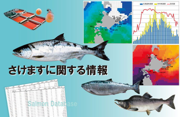 さけますに関する情報