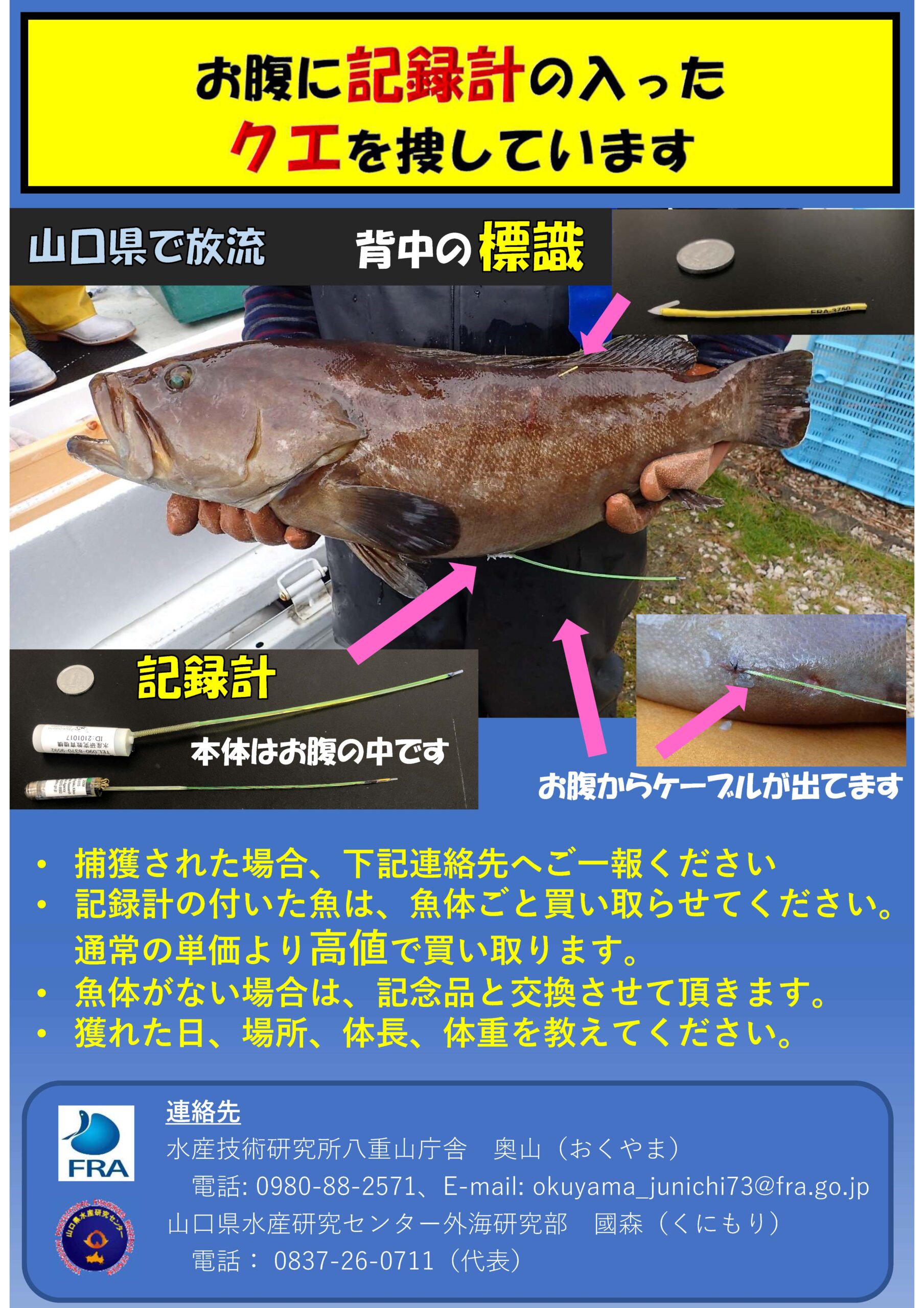 クエの標識ポスター